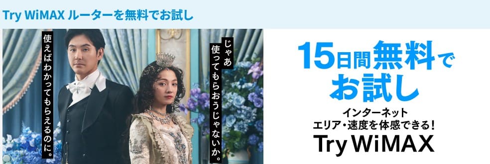 Try WiMAX (UQ WiMAX)