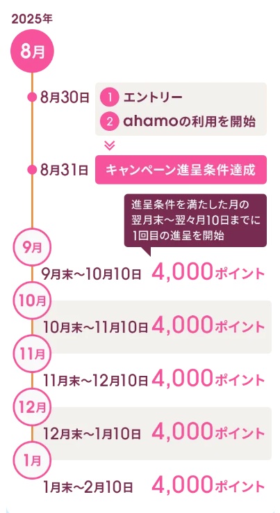 ahamo申し込み3