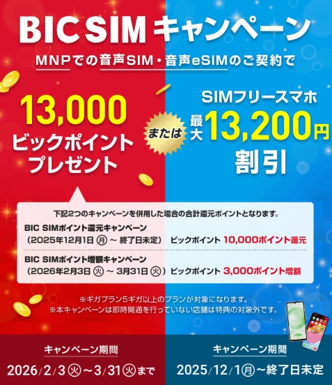 [店頭申し込み] BIC SIMキャンペーン