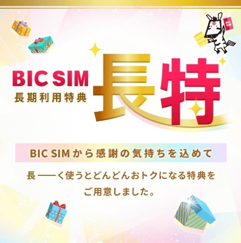 BIC SIM長特
