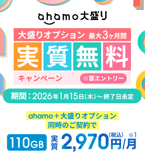 大盛りオプション最大3か月間実質無料キャンペーン