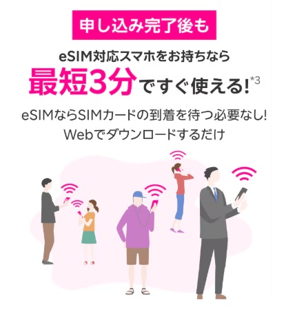 eSIM3分