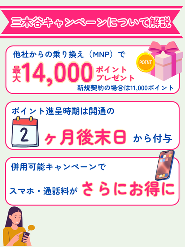 三木谷キャンペーンについて解説